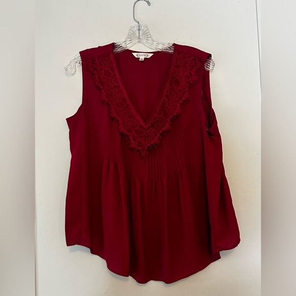 Nanette Lepore Cranberry Sleeveless Embroidered Pleated V-Neck Blouse Medium - Picture 2 of 3